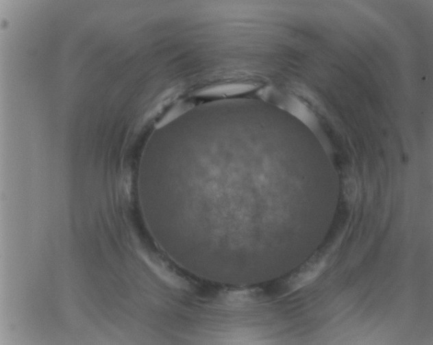 X0000066540072200603311855