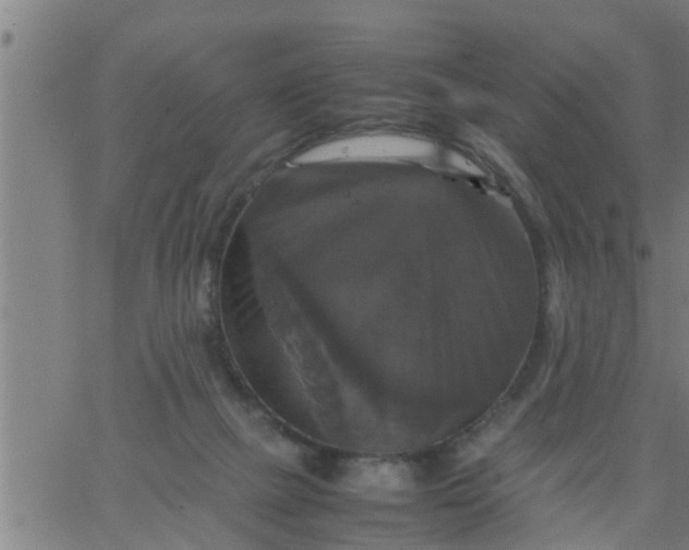 X0000066540073200603311855