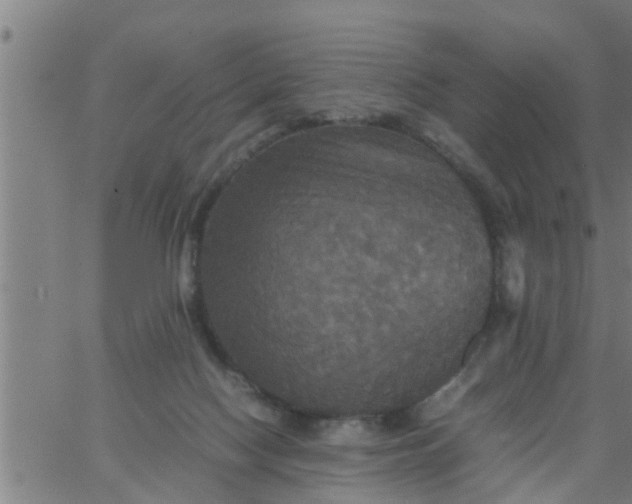 X0000066540074200603311855