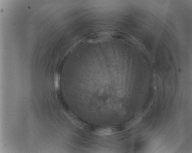 X0000066540075200603311855