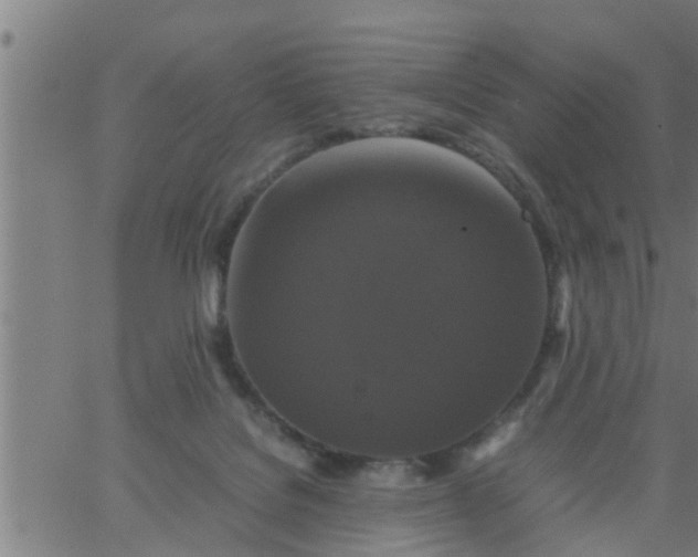 X0000066540076200603311855