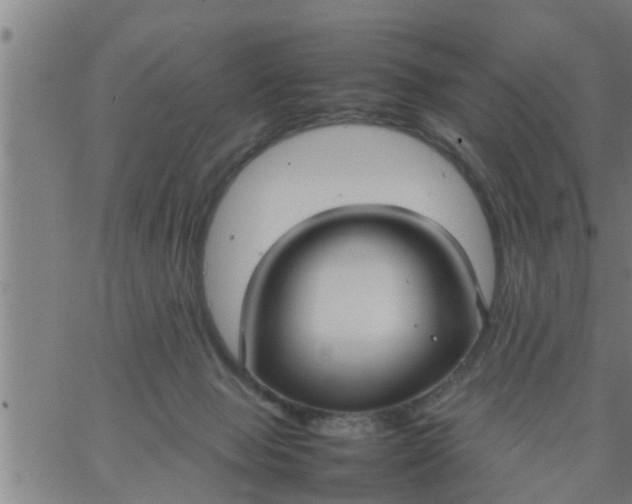 X0000066540077200603311855