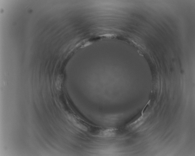 X0000066540078200603311855