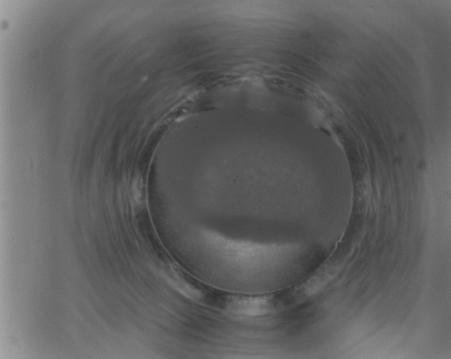 X0000066540081200603311855