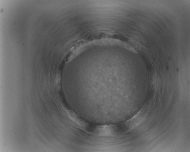 X0000066540082200603311855