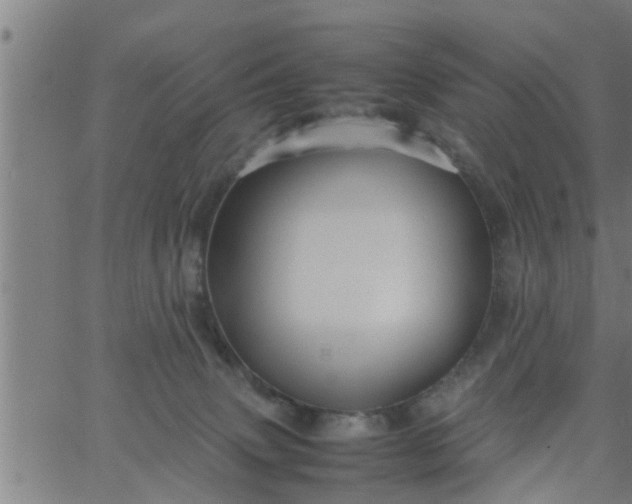 X0000066540083200603311855