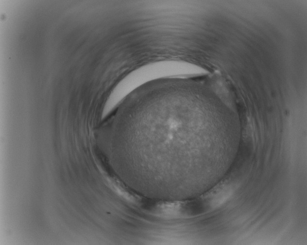 X0000066540084200603311855