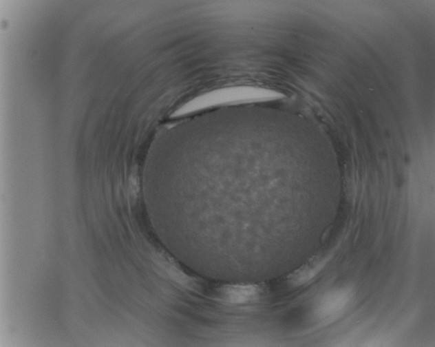 X0000066540085200603311855