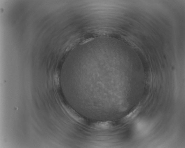 X0000066540086200603311855