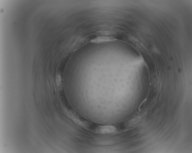 X0000066540087200603311855