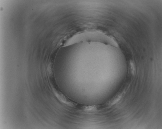 X0000066540088200603311855