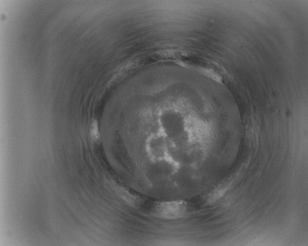 X0000066540089200603311856