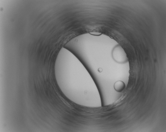 X0000066540090200603311856