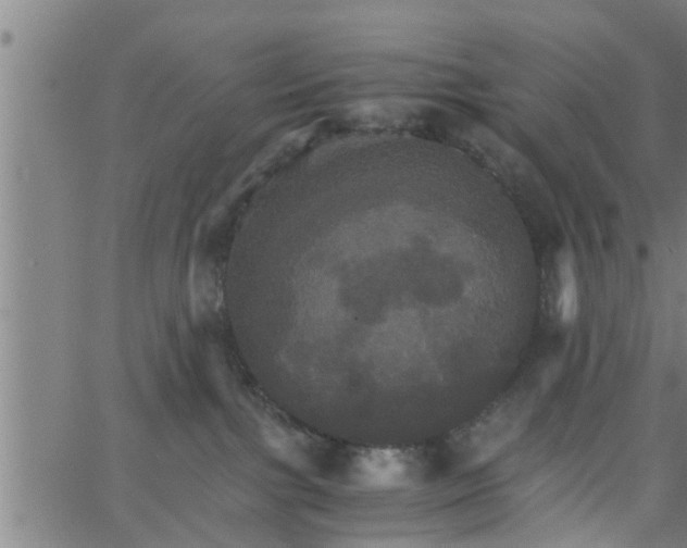 X0000066540091200603311856