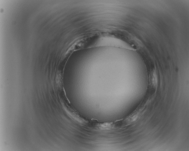 X0000066540092200603311856