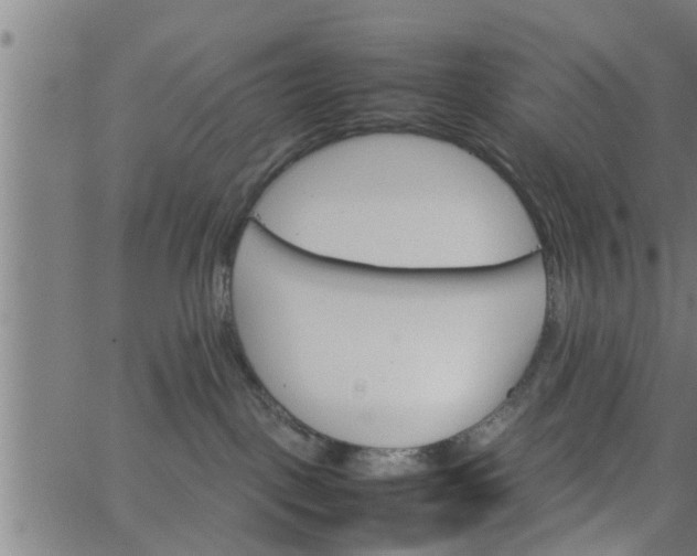 X0000066540093200603311856