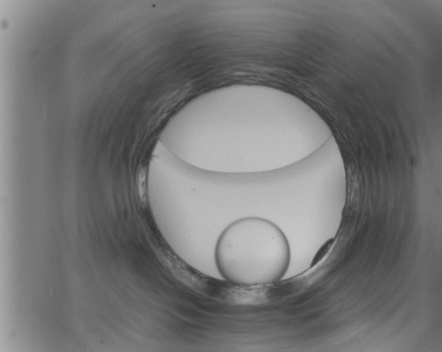 X0000066540094200603311856