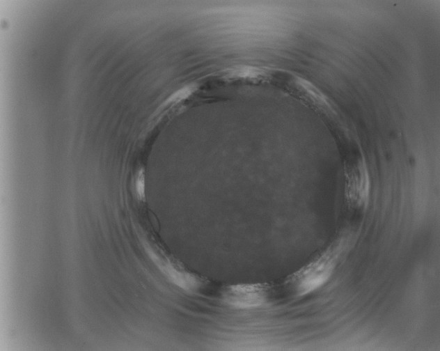 X0000066540095200603311856