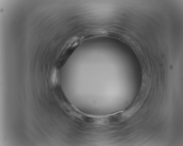 X0000066540096200603311856