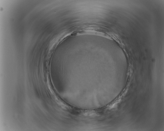 X0000066540097200603311855