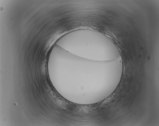 X0000066540098200603311855