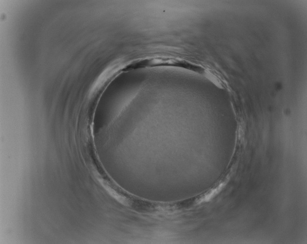 X0000066540101200603311855