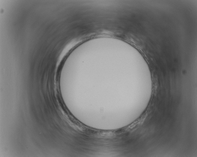 X0000066540102200603311855