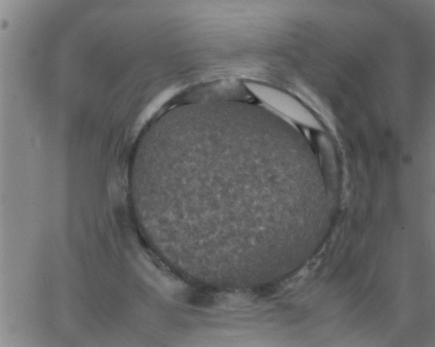 X0000066540107200603311855