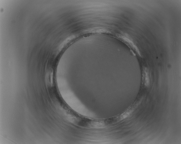 X0000066540110200603311855