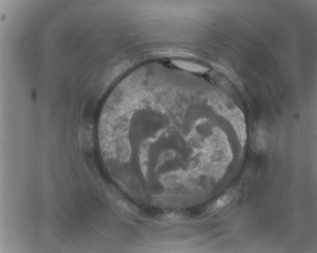 X0000066540111200603311855