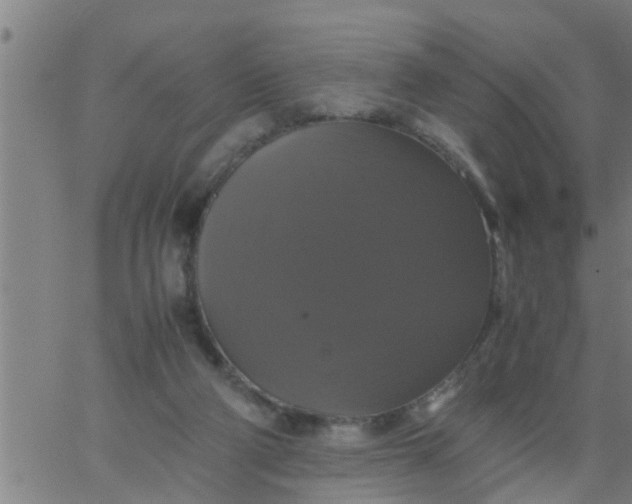 X0000066540114200603311855