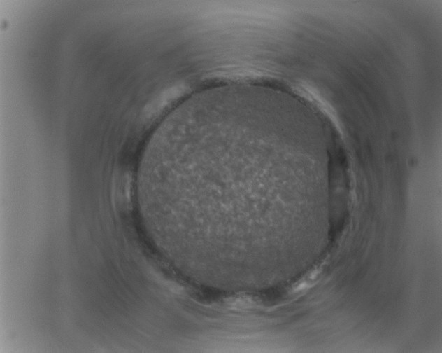 X0000066540115200603311855