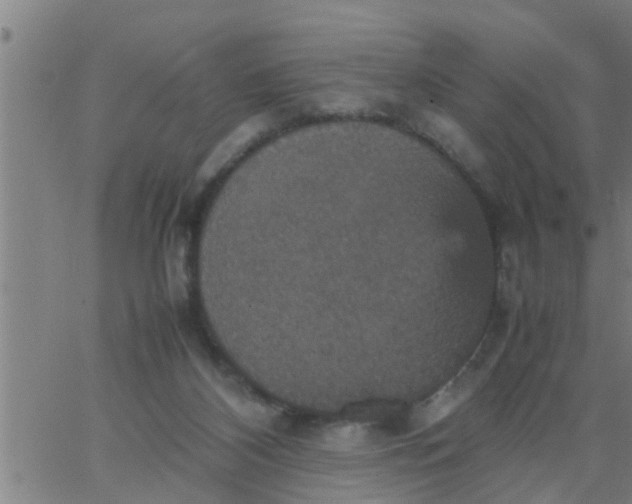 X0000066540116200603311855