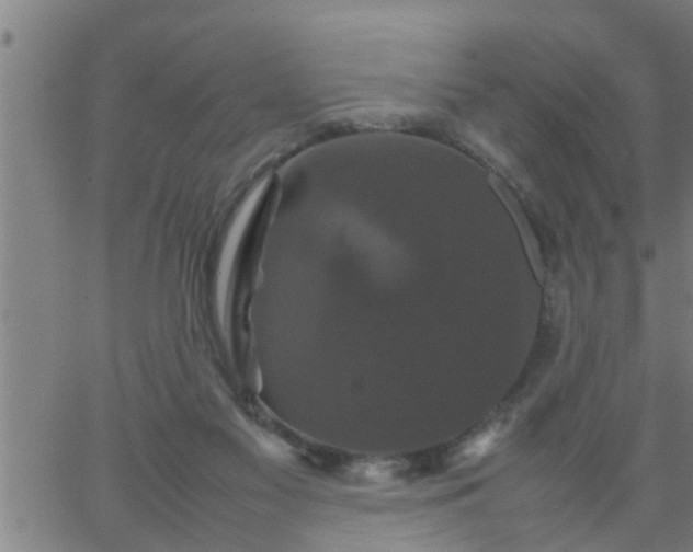 X0000066540117200603311855