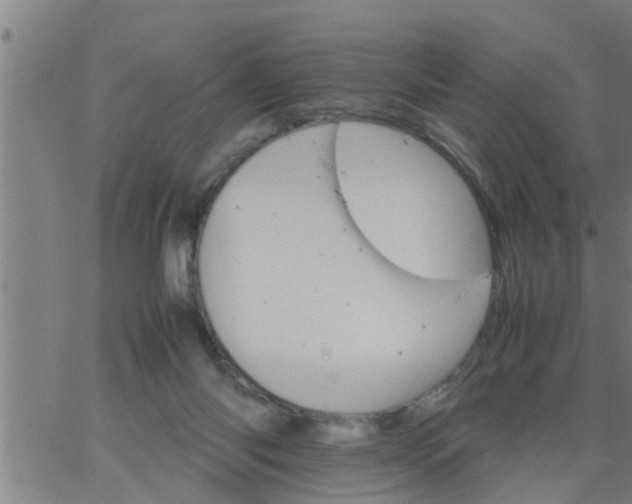 X0000066540118200603311855