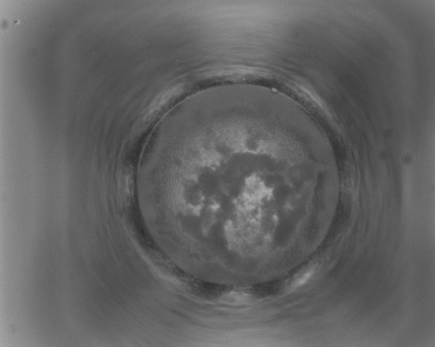 X0000066540119200603311854