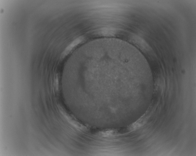 X0000066540120200603311854