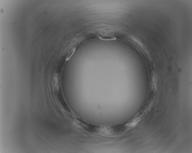 X0000066540121200603311854