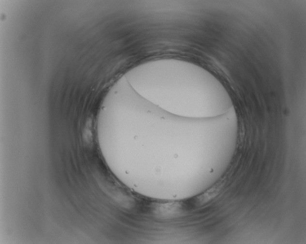 X0000066540122200603311854