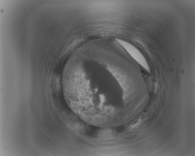 X0000066540123200603311854