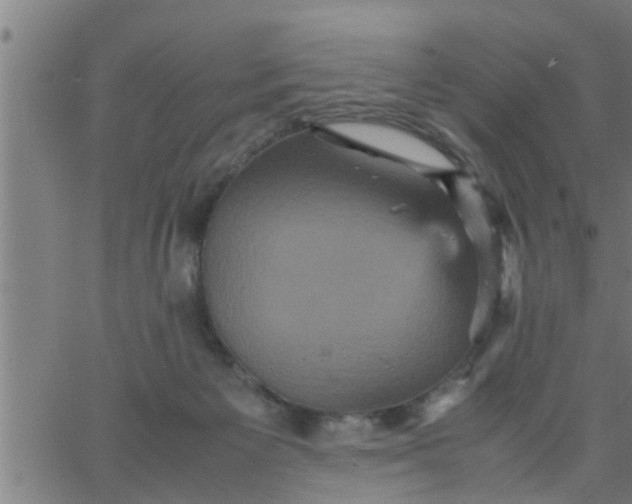 X0000066540125200603311854