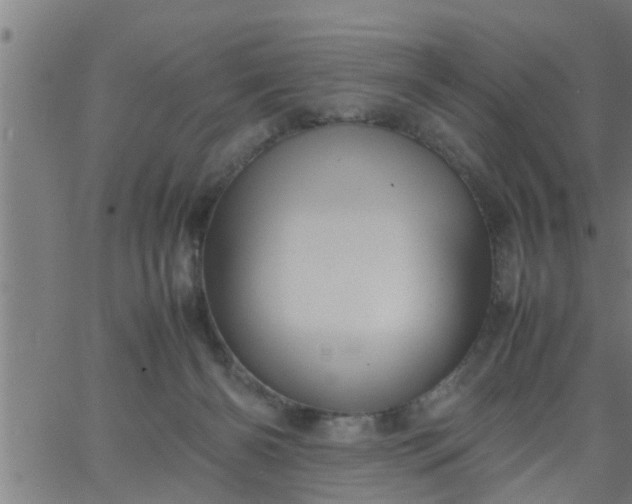 X0000066540126200603311854