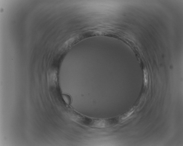 X0000066540127200603311854