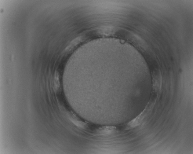 X0000066540128200603311854