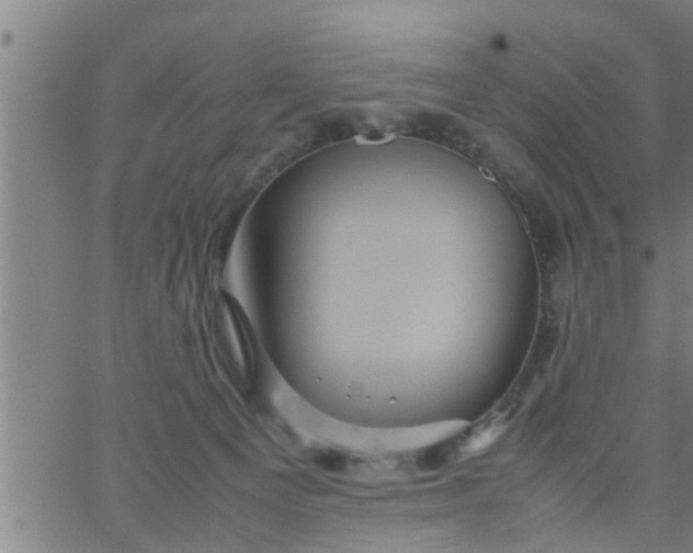 X0000066540129200603311854