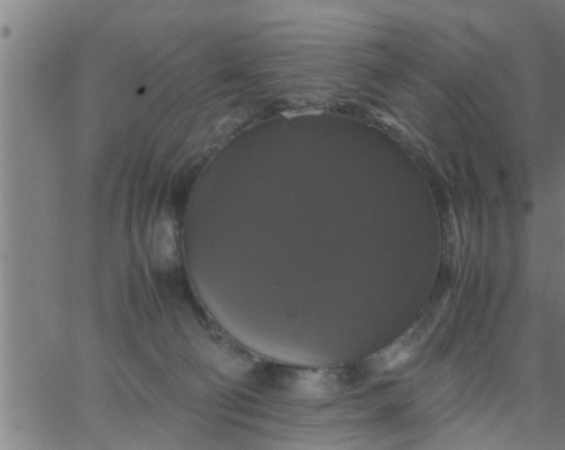 X0000066540130200603311854