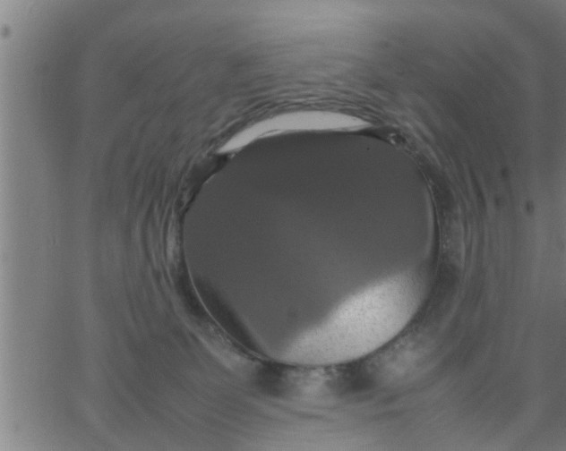 X0000066540131200603311854