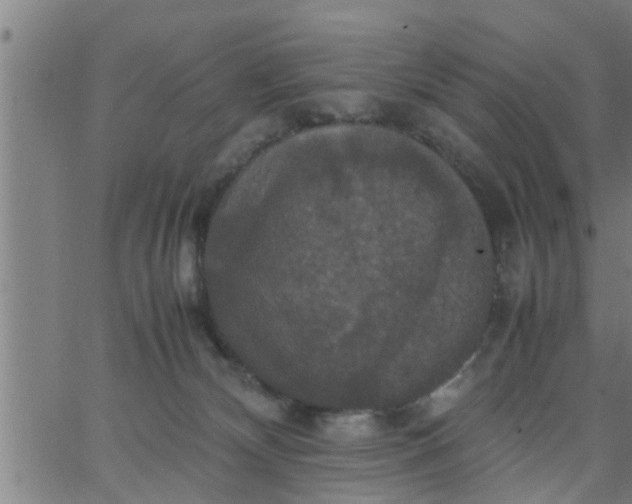 X0000066540132200603311854