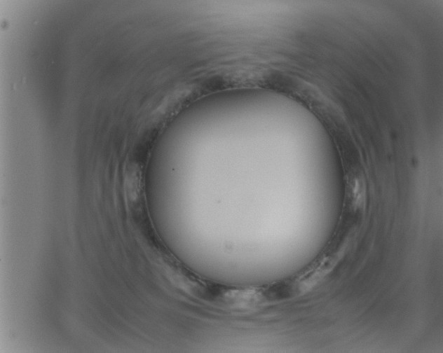 X0000066540133200603311854