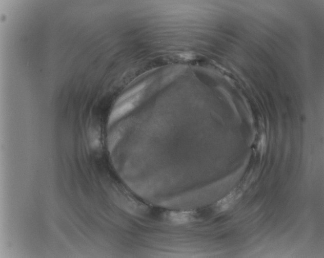 X0000066540134200603311854